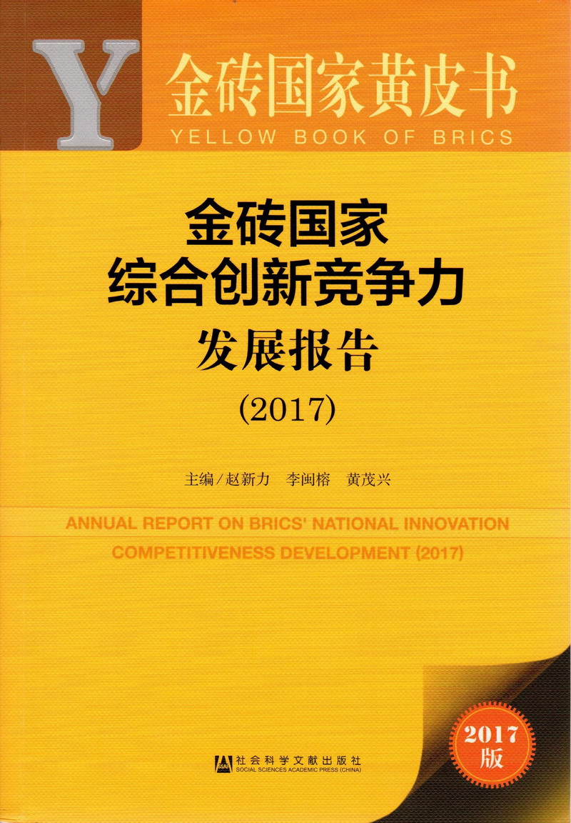 啊操我啊啊啊视屏金砖国家综合创新竞争力发展报告（2017）